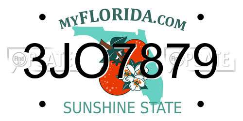 3JO7879 Florida License Plate