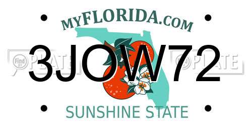 3JOW72 Florida License Plate
