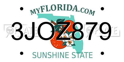 3JOZ879 Florida License Plate