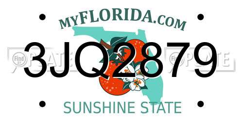 3JQ2879 Florida License Plate