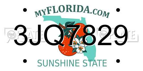 3JQ7829 Florida License Plate