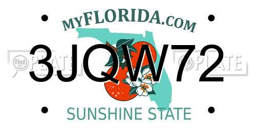 3JQW72 Florida License Plate