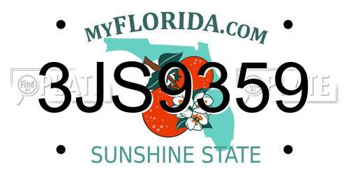 3JS9359 Florida License Plate