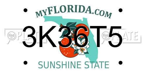 3K36T5 Florida License Plate