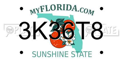 3K36T8 Florida License Plate