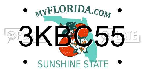 3KBC55 Florida License Plate