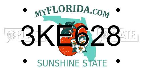 3KE628 Florida License Plate