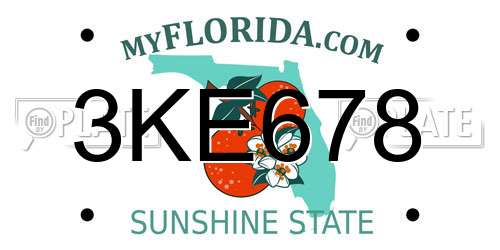 3KE678 Florida License Plate
