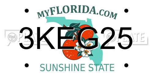 3KEG25 Florida License Plate