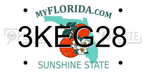 3KEG28 Florida License Plate