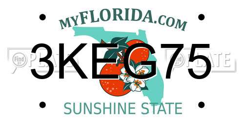 3KEG75 Florida License Plate
