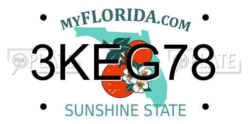 3KEG78 Florida License Plate
