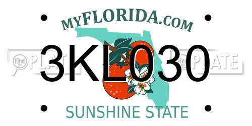 3KL030 Florida License Plate