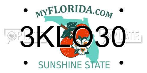 3KLO30 Florida License Plate