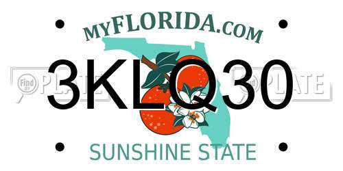 3KLQ30 Florida License Plate