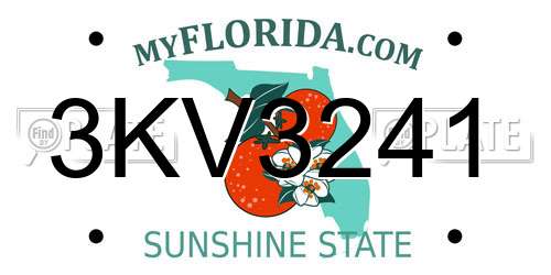 3KV3241 Florida License Plate