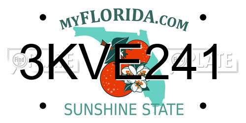 3KVE241 Florida License Plate