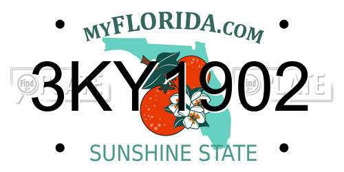 3KY1902 Florida License Plate