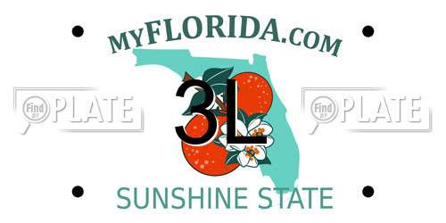 3L Florida License Plate
