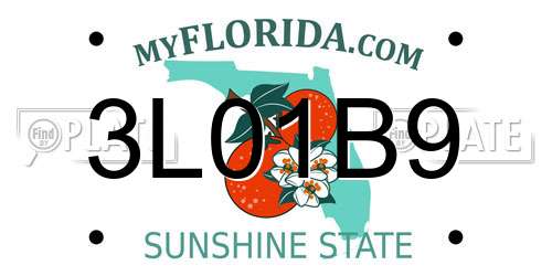 3L01B9 Florida License Plate