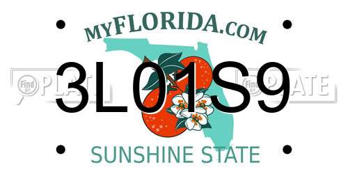3L01S9 Florida License Plate
