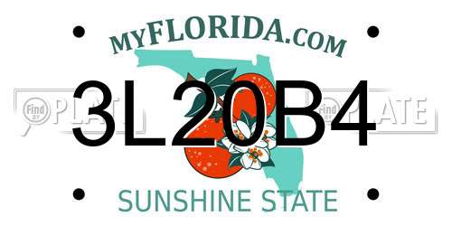 3L20B4 Florida License Plate