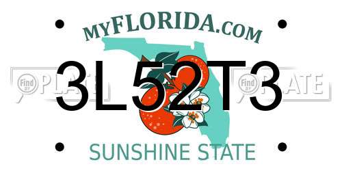 3L52T3 Florida License Plate