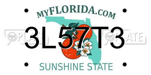 3L57T3 Florida License Plate