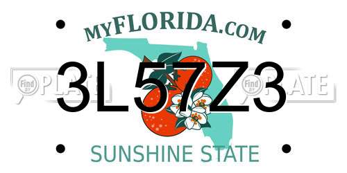 3L57Z3 Florida License Plate