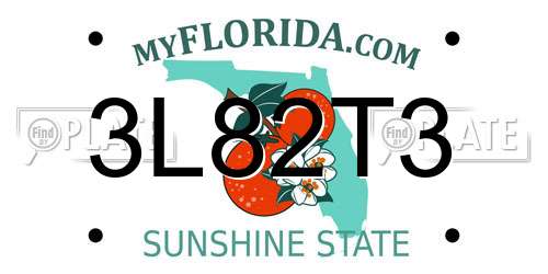 3L82T3 Florida License Plate