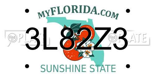 3L82Z3 Florida License Plate