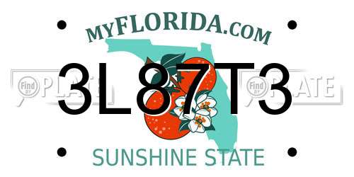 3L87T3 Florida License Plate
