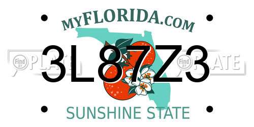 3L87Z3 Florida License Plate