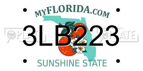 3LB223 Florida License Plate