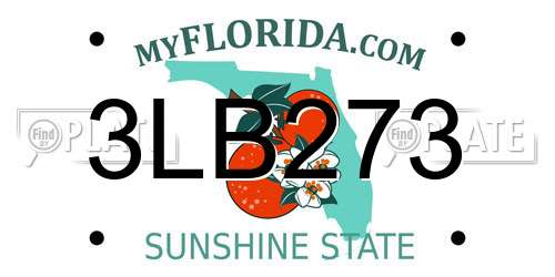 3LB273 Florida License Plate