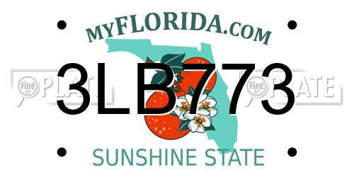 3LB773 Florida License Plate