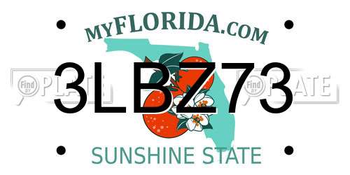 3LBZ73 Florida License Plate