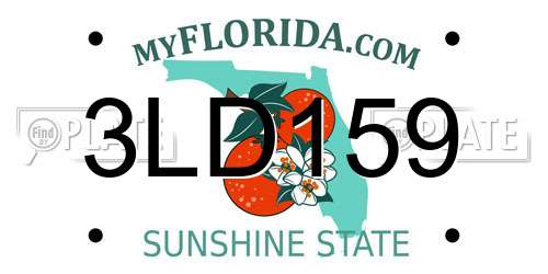 3LD159 Florida License Plate