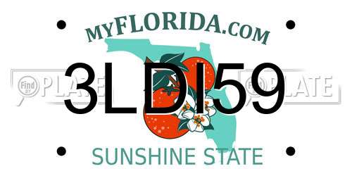3LDI59 Florida License Plate