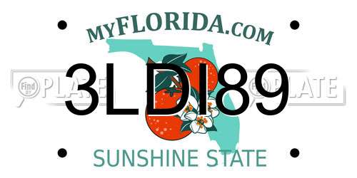 3LDI89 Florida License Plate