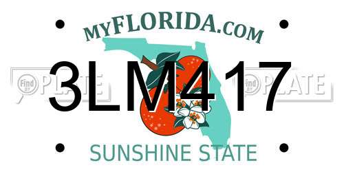 3LM417 Florida License Plate