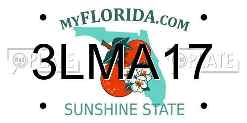 3LMA17 Florida License Plate