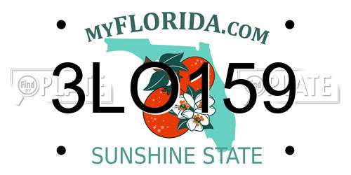 3LO159 Florida License Plate