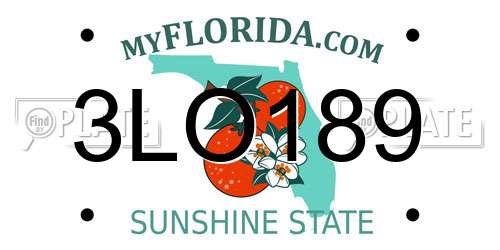 3LO189 Florida License Plate