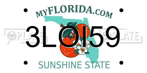 3LOI59 Florida License Plate