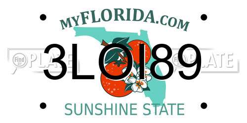 3LOI89 Florida License Plate