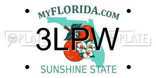 3LPW Florida License Plate