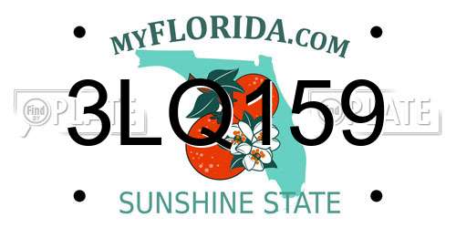 3LQ159 Florida License Plate