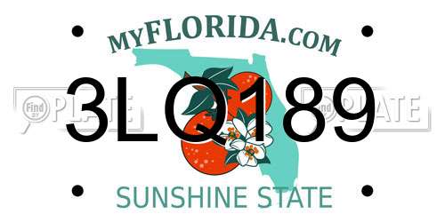 3LQ189 Florida License Plate