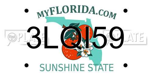3LQI59 Florida License Plate